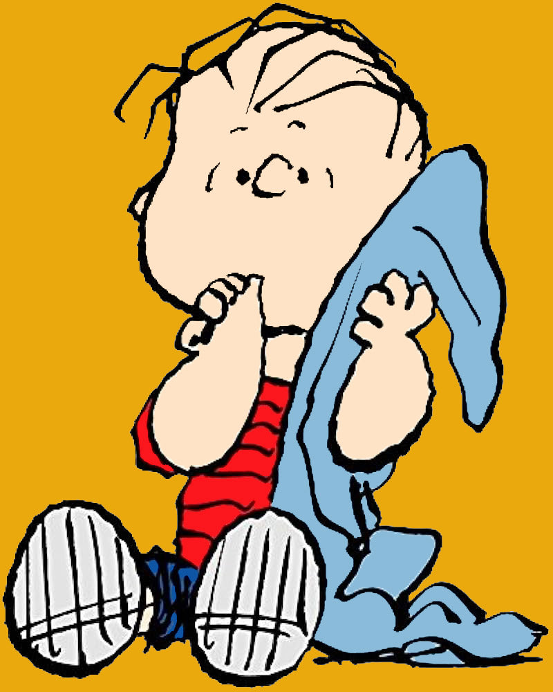 Peanuts Double-Sided Flag - Linus