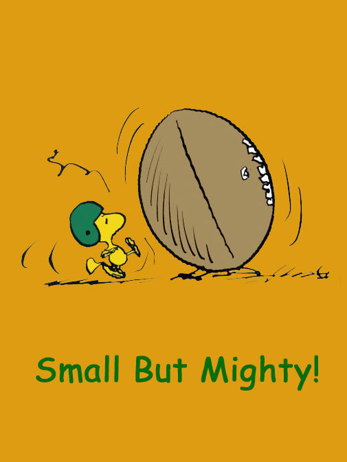 Peanuts Double-Sided Flag - Woodstock Small But Mighty!