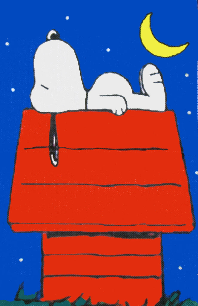 Peanuts Double-Sided Flag - Snoopy's Dog House