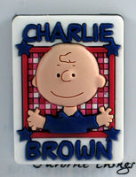 Charlie Brown Pvc Pin