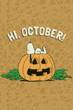 Peanuts Double-Sided Flag - Hi October!