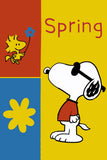 Peanuts Double-Sided Flag - Snoopy Joe Cool Spring
