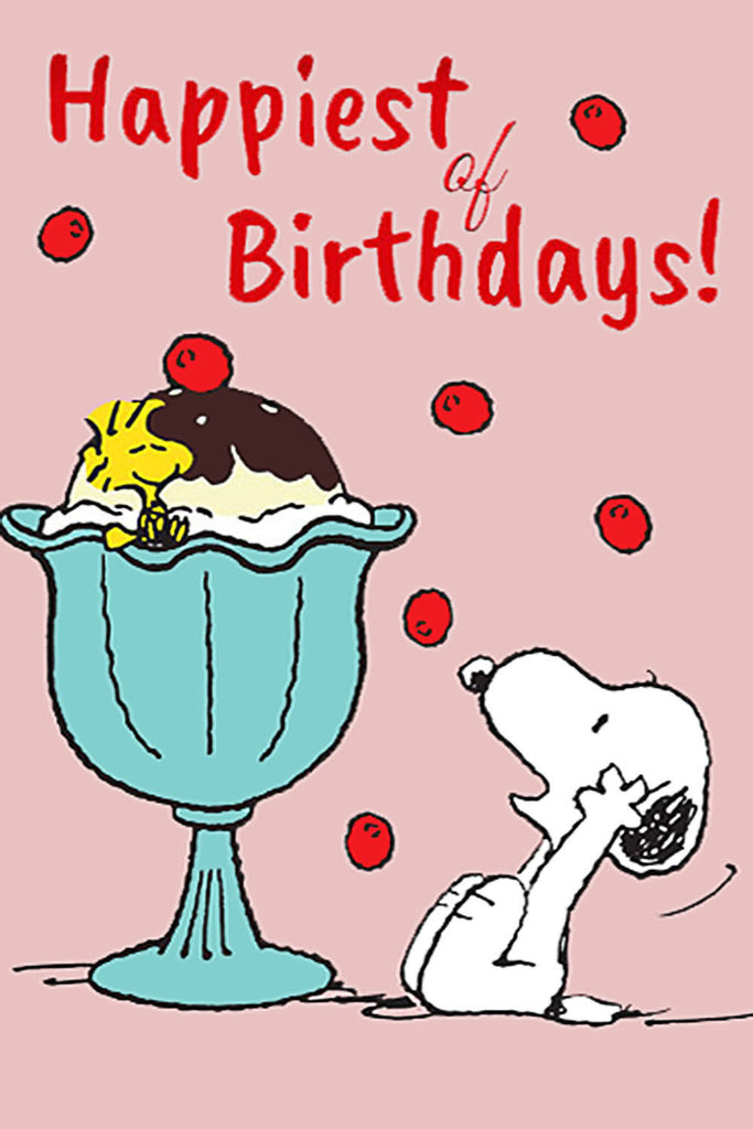Peanuts Double-Sided Flag - Happy Birthday!