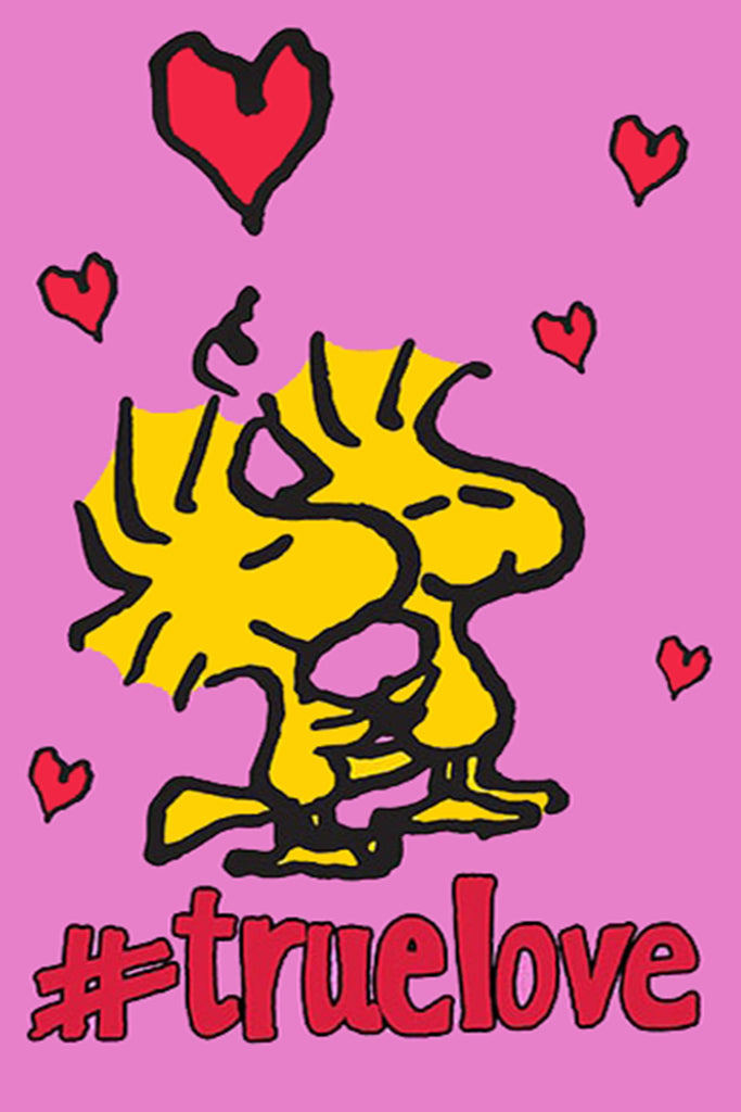 Peanuts Double-Sided Flag - #truelove