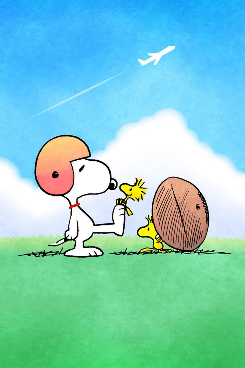 Peanuts Double-Sided Flag - Snoopy Football | snoopn4pnuts.com
