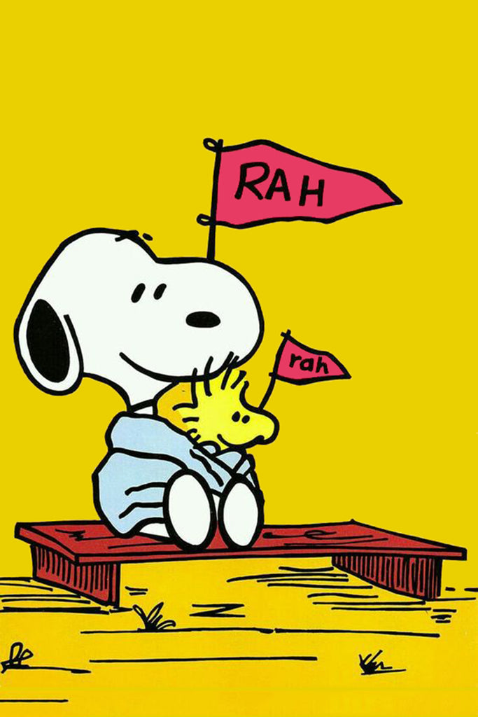 Peanuts Double-Sided Flag - Fans