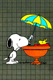Peanuts Double-Sided Flag - Umbrella Coverage