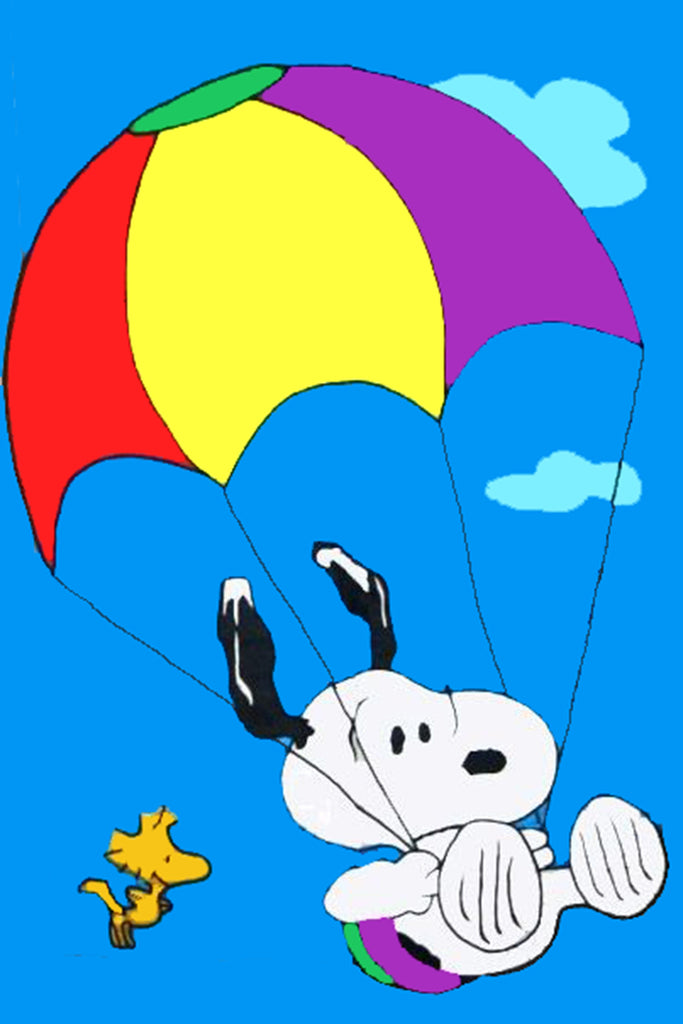Peanuts Double-Sided Flag - Dropping In