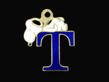 Snoopy Alphabet Cloisonne Charm - Blue "T"