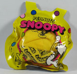 Peanuts Gang "Hacky Sack" Foot Bag - Charlie Brown
