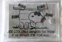 Snoopy Joe Cool Clear Vinyl Photo Album - Rare Japanese Sample!