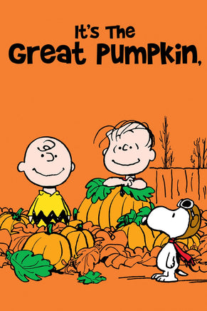 Peanuts Double - Sided Flag - Snoopy It's The Great Pumpkin Halloween - snoopn4pnuts.com