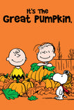 Peanuts Double-Sided Flag - Snoopy It's The Great Pumpkin Halloween