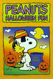 Peanuts Double-Sided Flag - Snoopy Halloween Pirate