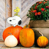 Peanuts Hammered Metal Halloween Pumpkin Press-In Decor - Snoopy and Woodstock