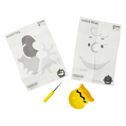 Charlie Brown and Snoopy Pumpkin Jack - O - Lantern Carving Kit - snoopn4pnuts.com
