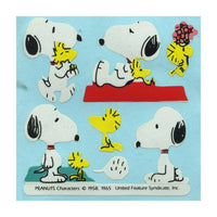 Peanuts Stickermagic Glossy Sticker Set (Includes 2 Sheets) - Great For Scrapbooking!