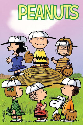 Peanuts Double - Sided Flag - Charlie Brown Baseball - snoopn4pnuts.com