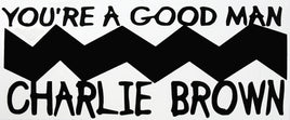 Charlie Brown Die - Cut Vinyl Decal - Black - snoopn4pnuts.com