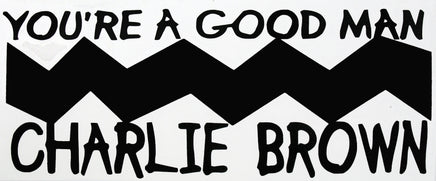 Charlie Brown Die - Cut Vinyl Decal - Black - snoopn4pnuts.com