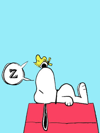 Peanuts Double - Sided Linen Flag - Nap Time - snoopn4pnuts.com