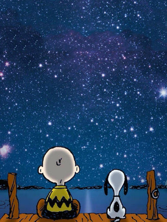 Peanuts Double - Sided Flag - Charlie Brown and Snoopy Starry Night - snoopn4pnuts.com