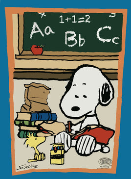 PEANUTS GANG CLASSROOM Flag - RARE! - snoopn4pnuts.com