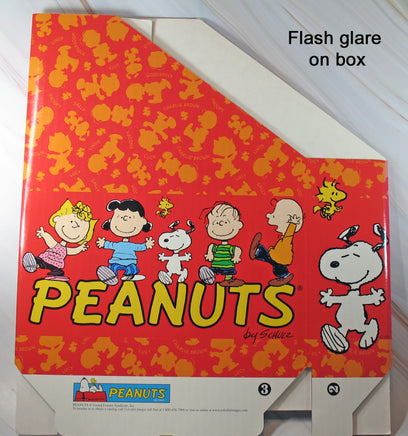 Peanuts Heavyweight Cardboard File Folder Box - snoopn4pnuts.com