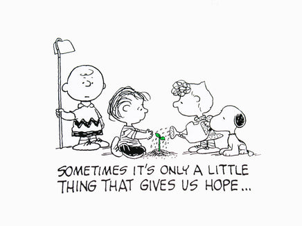 Peanuts T-Shirt - Little Things Give Us Hope (NEW/Washed But Never Worn) - snoopn4pnuts.com