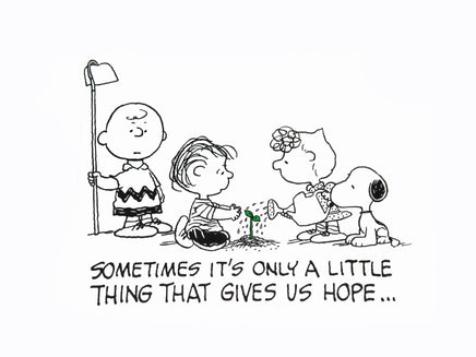 Peanuts Inspirational T-Shirt - Hope (Size Large/Runs Big) - snoopn4pnuts.com