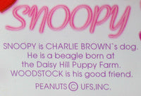 Snoopy Purse - Size Photo Album - snoopn4pnuts.com