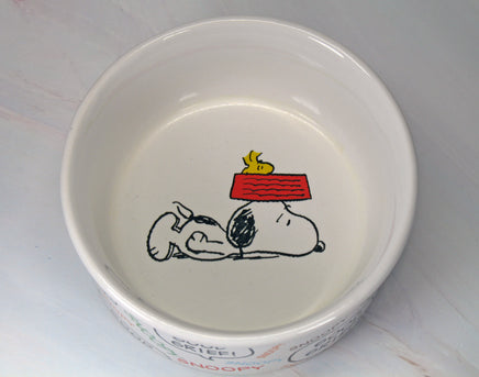 Snoopy Ceramic Pet Bowl / Snack Dish - snoopn4pnuts.com