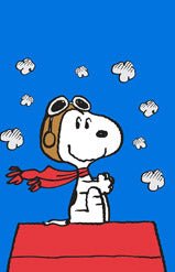 Peanuts Double - Sided Flag - Snoopy Flying Ace - snoopn4pnuts.com