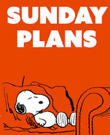 Peanuts Double-Sided Flag - Snoopy Sunday Plans