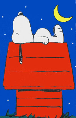 Peanuts Double - Sided Linen Flag - Snoopy's Dog House - snoopn4pnuts.com