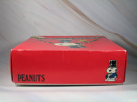 40th Anniversary Peanuts 2 - Piece Glass Dish Set - RARE! - snoopn4pnuts.com