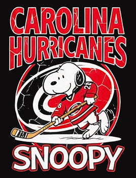 Professional Hockey Indoor/Outdoor Waterproof Vinyl Decal - Carolina Hurricanes