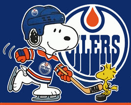 Professional Hockey Indoor/Outdoor Waterproof Vinyl Decal - Houston Oilers