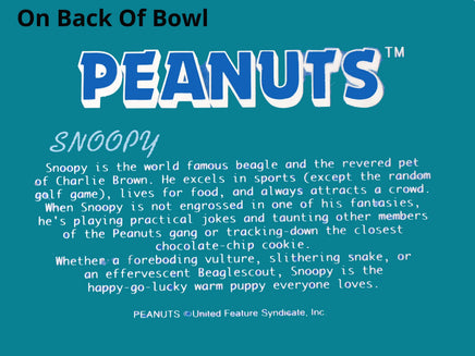Snoopy and Woodstock Collectible Scalloped Metal Bowl / Serving Dish - snoopn4pnuts.com