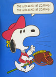 Peanuts Vintage Graduation Wall Decor Set (Full-Size Page Decorations) - RARE!