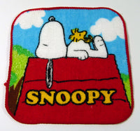 Peanuts Mini Wash Cloth Set In Plastic Cases - Perfect Size For Washing Infants!