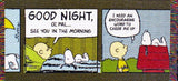 Peanuts Gang Comics Blanket / Throw