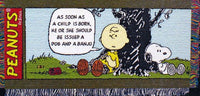 Peanuts Gang Comics Blanket / Throw