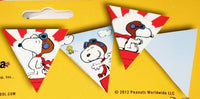 Flying Ace Party Pennant Banner