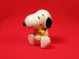 Snoopy And Woodstock Poncho
