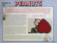 Willabee & Ward Embroidered Patch - Charlie Brown's Heart RARE! - snoopn4pnuts.com