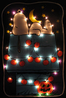 Snoopy Indoor/Outdoor Halloween Lighted Yard Art (Used Once / MINT Condition) - snoopn4pnuts.com