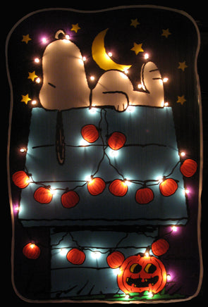 Snoopy Indoor/Outdoor Halloween Lighted Yard Art (Used Once / MINT Condition) - snoopn4pnuts.com