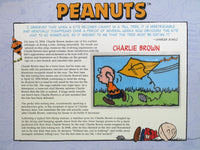 Willabee & Ward Embroidered Patch - Charlie Brown Flying Kite RARE! - snoopn4pnuts.com