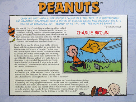 Willabee & Ward Embroidered Patch - Charlie Brown Flying Kite RARE! - snoopn4pnuts.com